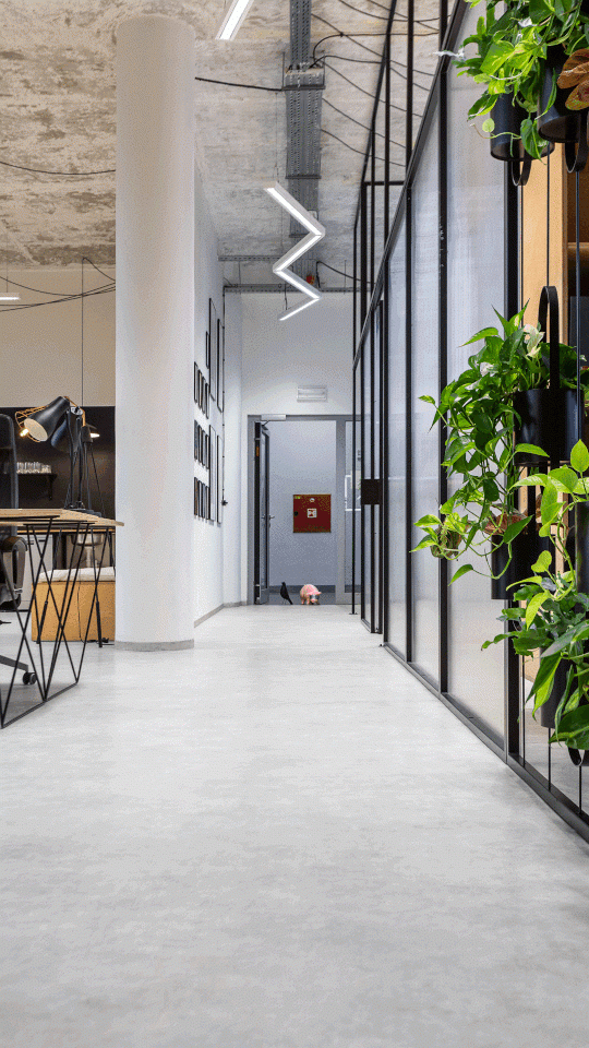 Zlínské kanceláře KHS, Studio COSMO