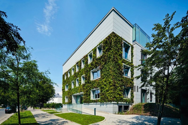 Zelené fasády jako oživení současné architektury, ale také řešení při zmírňování dopadů klimatické krize.
