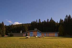 WMA Architects navrhli lesní usedlost v Beskydech