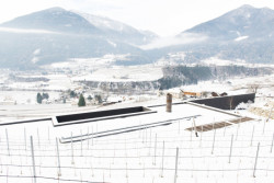 Vila P, Bergmeisterwolf