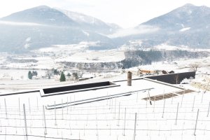 Vila P, Bergmeisterwolf