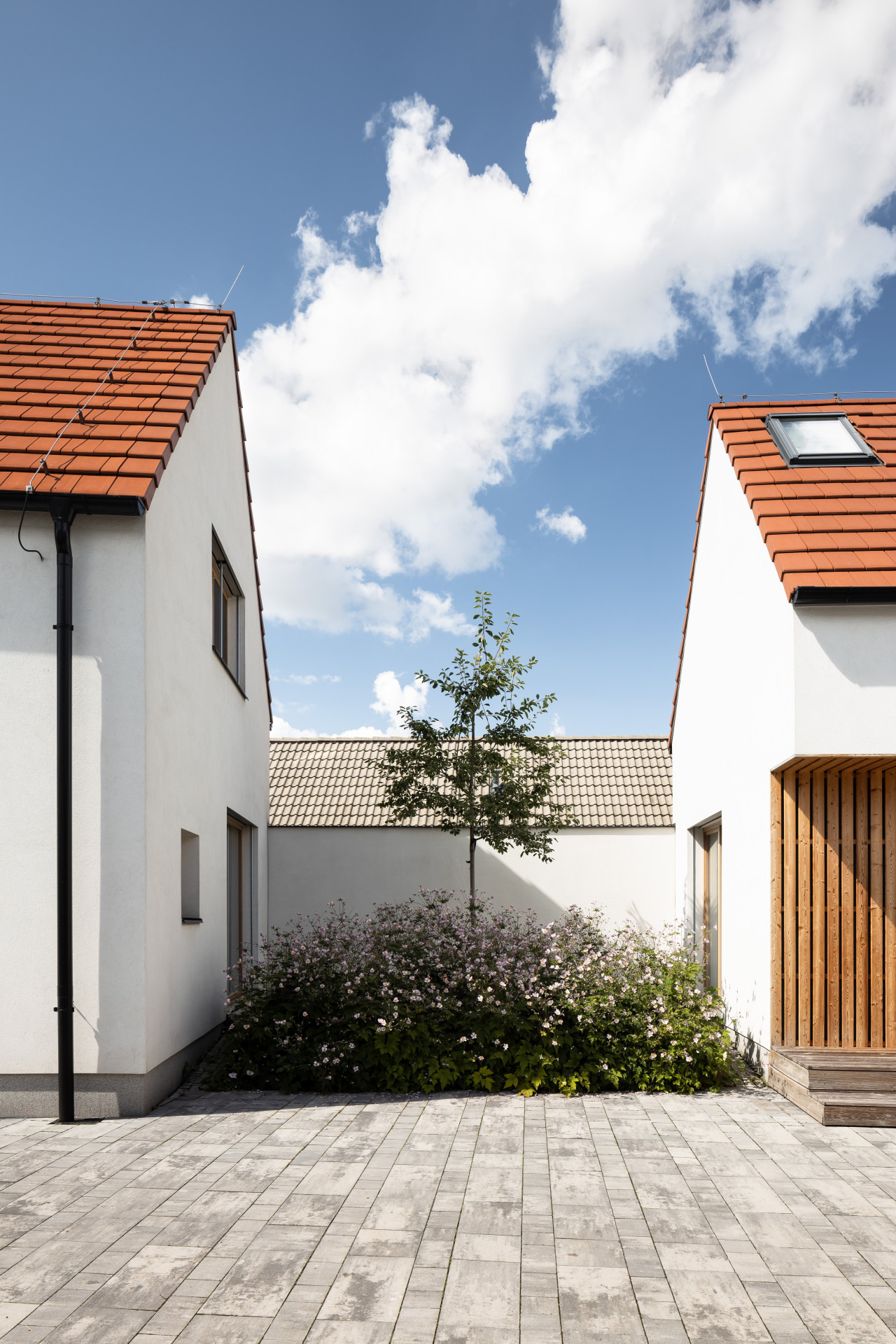 Rodinný dům v Dolních Dubňanech, CL3: Přírodní materiál v kombinaci s bílými omítkami a červenou střechou na místě působí stejně patřičně jako tvar a skladba domů