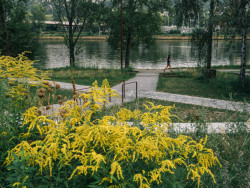 A proto v něčem vypadá jinak než ostatní městské parky. (Park U Vody v Praze-Holešovicích, YYYY)