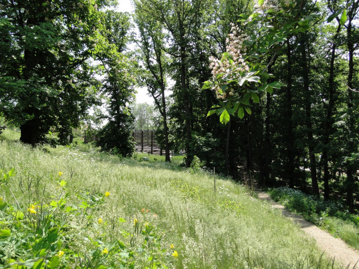 třiarchitekti, Letní scéna AmFík, pohled z bývalého klášterního parku – foto