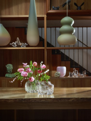 Hana Hillerová - Remix s květinami