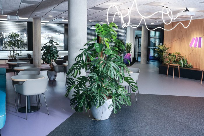 Pronájem rostlin s péčí od Jungle Interiors