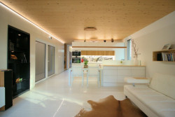 Dom pod dubom, Molnár-Peráček