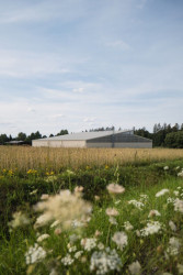 Pohled na nový hangár z dálky. (Hangár ve Zbraslavicích, Studio Raketoplán)