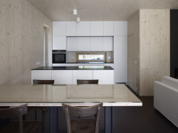 Rodinný dům u Slapské přehrady, Stempel & Tesar architekti - foto