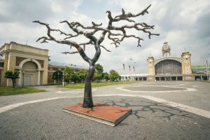 SCULPTURE LINE 2016, Praha: Lukáš Rais, Strom – foto
