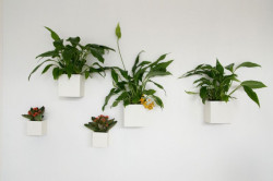 Mooza architecture, Interiér mezonetového bytu v Holešovicích - foto