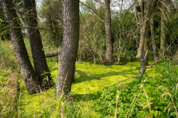 Nadace Partnerství zahájila přihlašování do pátého ročníku soutěže Adapterra Awards