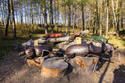 Broukoviště v Zoo Ostrava, Dřevěná stavba roku 2016