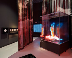 Kunsthalle zahájila provoz velkou multimediální výstavou věnovanou kinetismu