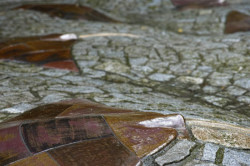 Alexandra Koláčková, Pochozí fontána s rejnoky, ZOO Zlín-Lešná - foto