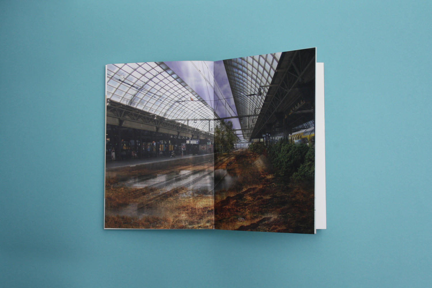 Ve čtvrtek 7. března 2024 od 19h30 se ve velkém sále kina Světozor uskuteční přednáška nizozemské architektky Maike van Stiphout a specialisty na výsadbu rostlin Freda Booye.