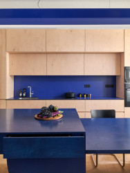 Kuchyně. Nový nábytek je z překližky, která kontrastuje s tím historickýcm (Byt na Starém Městě; Facha architekti)