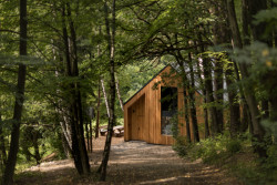 Chata v lese, Adam Hofman a Dominik Ilichman