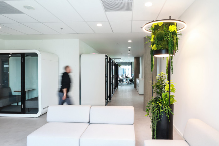 Jungle Interiors přináší zeleň na míru – od zelených stěn, atrií a fasád až po pronájem rostlin s profesionální péči.