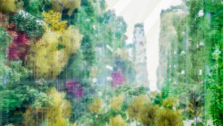 Projekt think-tanku The Why Factory  Green Dip New York