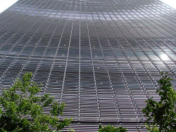 Okurka a spol. - foto