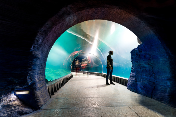 Lidé by měli být jen návštěvníci ve světě zvířat.