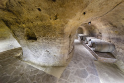 Vinný sklep Konice, Tomáš Dvořák architekti