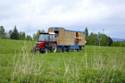 Studio Schwestern, Maringotka pod Lipnicí – foto