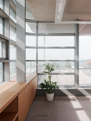 Vila Mudroňova, Ilja Skoček