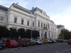 Psí výcházka po Bubenči a Bubnech