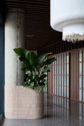 Rozčlěnit ho pomáhají třeba velké květníky. (Restaurace Hansik v Praze; Neuhäusl Hunal)