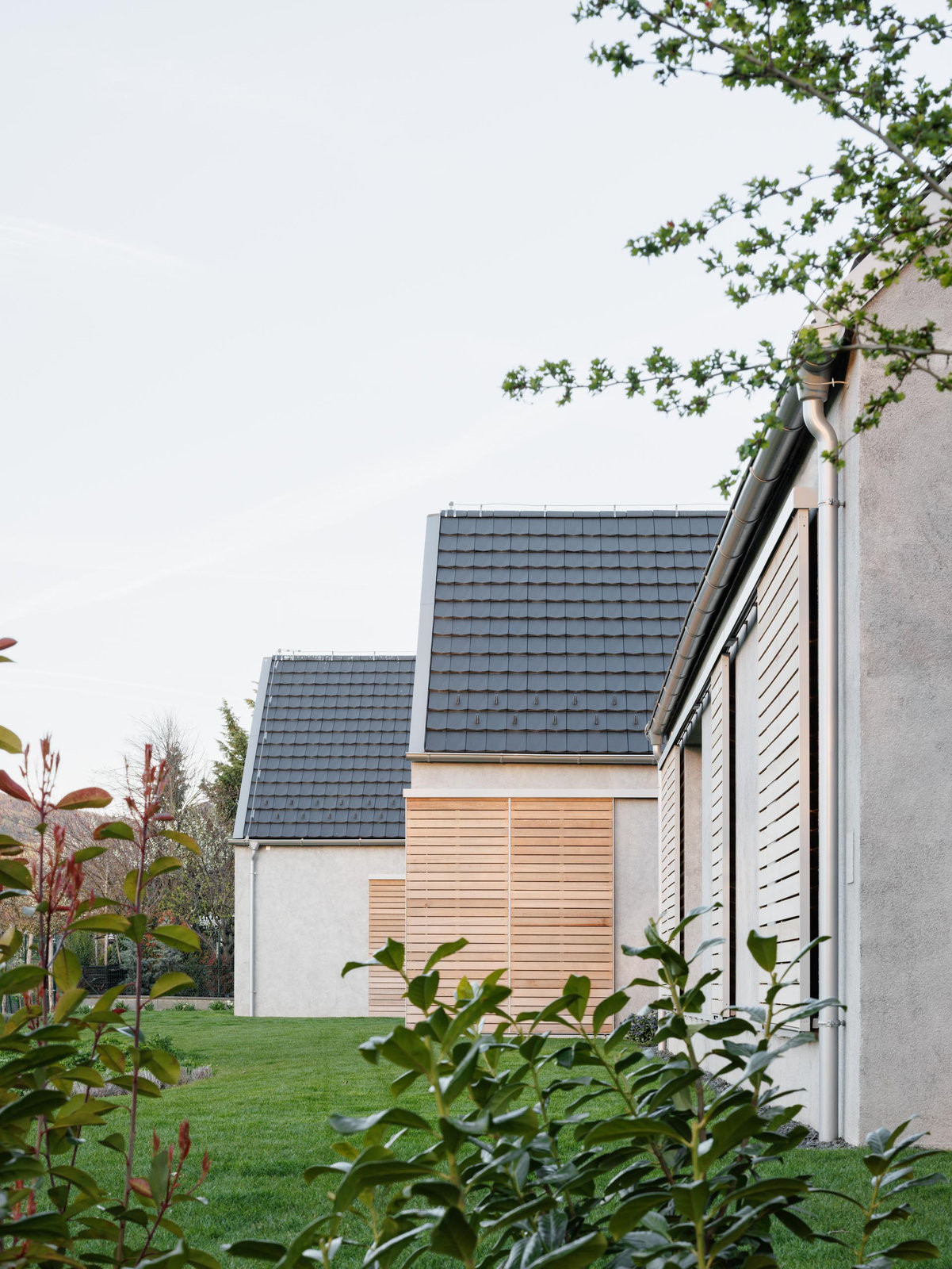 Rozdělení domu (Dům u vinohradu, ARCHITEKTI mikulaj & mikulajová )