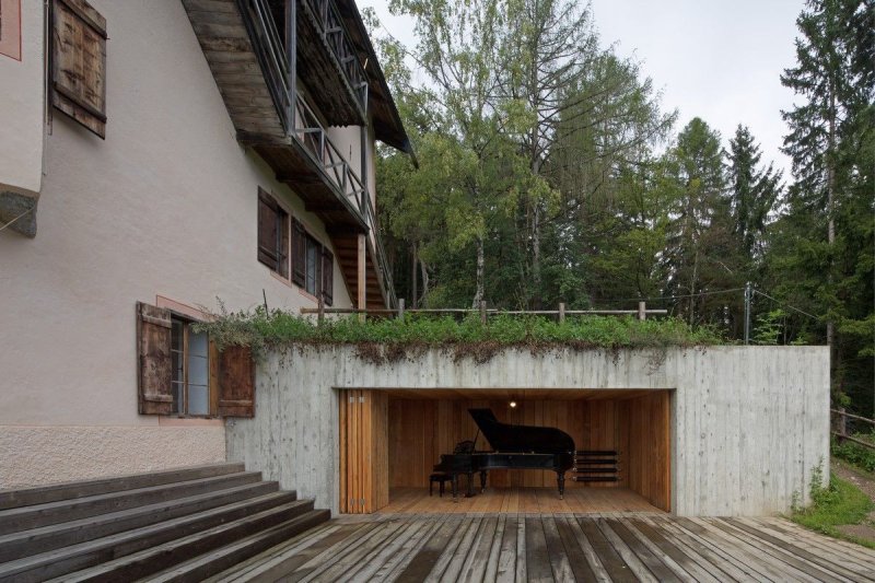 music for the forest, bergmeisterwolf,