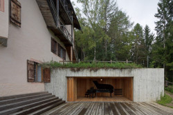 music for the forest, bergmeisterwolf,