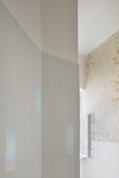 Rekonstrukce bytu v Karlových Varech, Plus One Architects: Charakteristickým rysem a prostupující linkou celého interiéru se po odhalení stala původní výmalba na stropech i stěnách, s proměnlivými barevnými odstíny a texturami