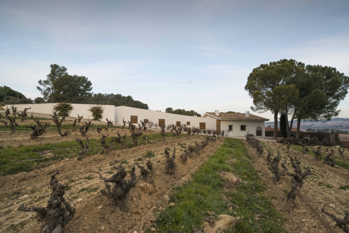 Rozšíření rodinného domu ve Španělsku, Vidal i Solanes arquitectes