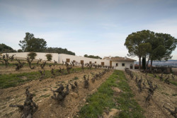 Rozšíření rodinného domu ve Španělsku, Vidal i Solanes arquitectes