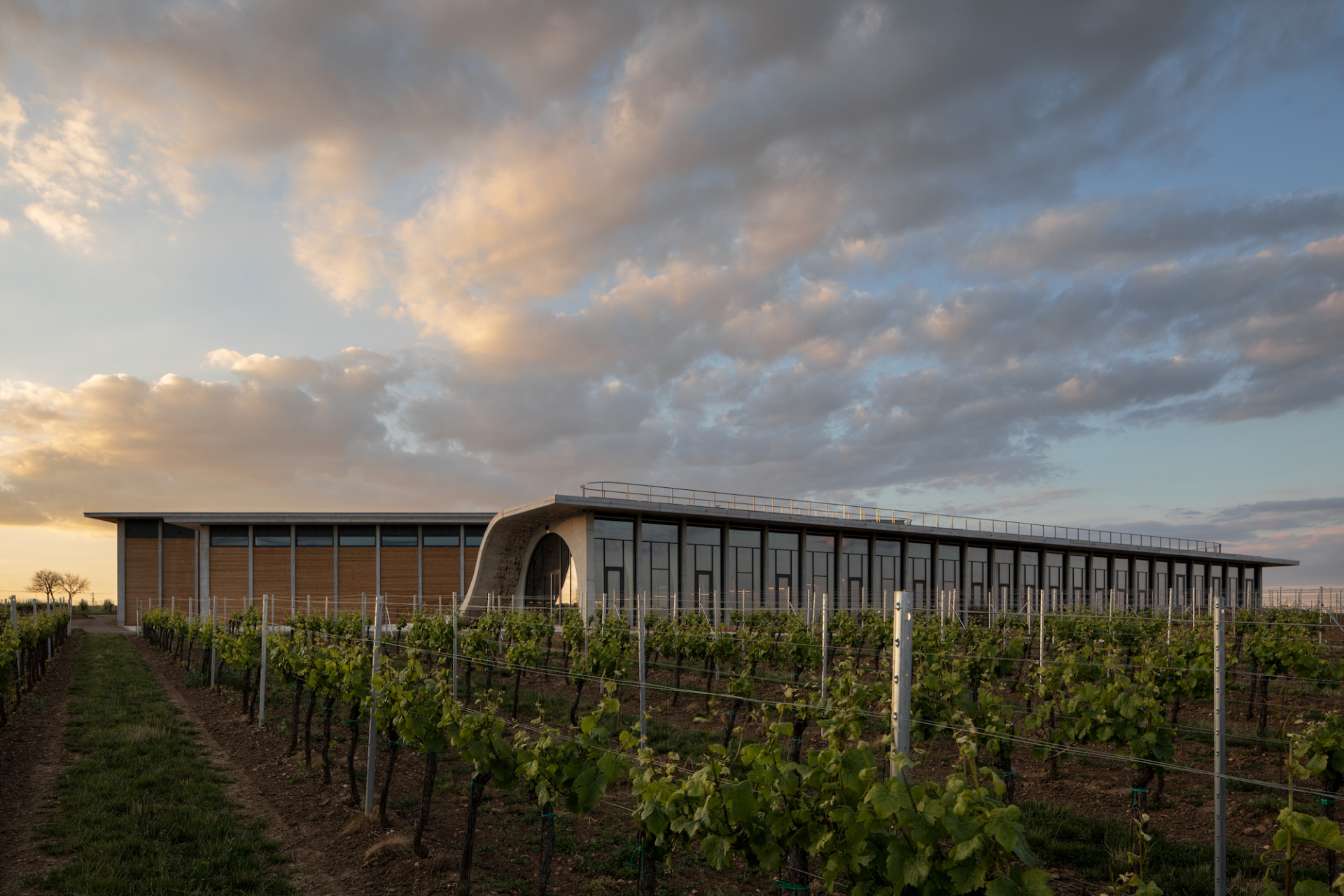 Sídlo Vinařství LAHOFER v Dobšicích u Znojma, Chybík+Krištof