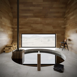 Libor Šenekel, Rašelinové lázně - foto