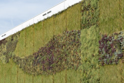 Zelená fasáda v CTParku North Prague