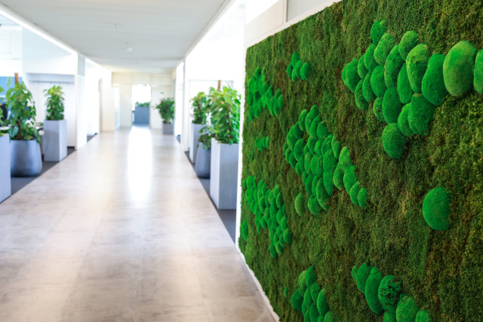 Mechové stěny a obrazy od Jungle Interiors