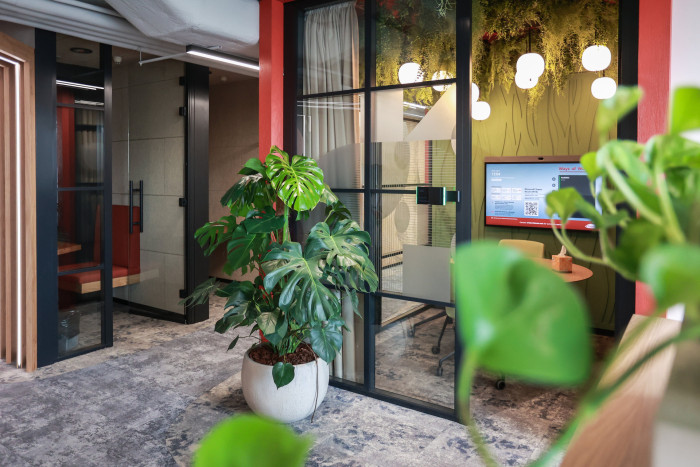 Jungle Interiors přináší zeleň na míru – od zelených stěn, atrií a fasád až po pronájem rostlin s profesionální péči.