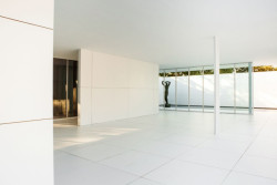 Mies Missing Materiality