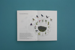 Ve čtvrtek 7. března 2024 od 19h30 se ve velkém sále kina Světozor uskuteční přednáška nizozemské architektky Maike van Stiphout a specialisty na výsadbu rostlin Freda Booye.