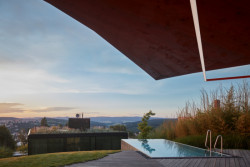 Lazy House, petrjanda/brainwork