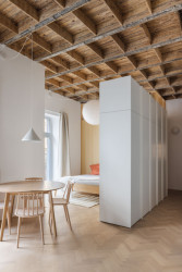 Byt G, Grau Architects: Atypický strop s jasným členěním se stal dominantním prvkem rekonstrukce, dodávající bytu ojedinělý charakter