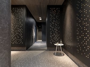 Vláknocementové desky mají využití v mnoha interiérech - v restauracích, galeriích, stanicích metra i doma. (na obrázku Linth Arena ve Švýcarsku)