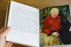 Julie Floriánová, „Představa, realita, vzpomínka“ – foto