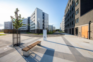 Univerzitní kampus v Essexu ve Velké Británii