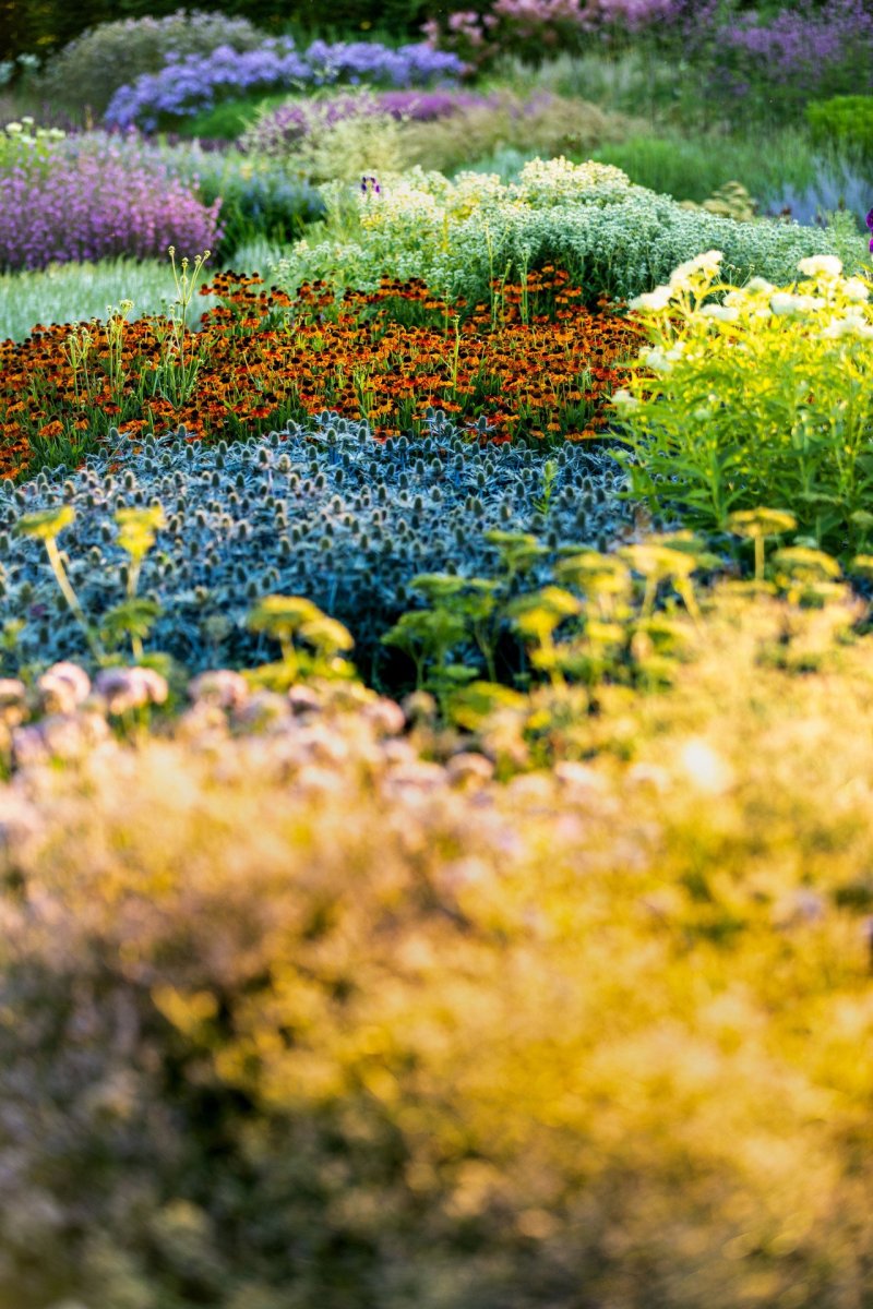 Piet Oudolf, Oudolf Garten on the Vitra Campus, Weil am Rhein, 2020